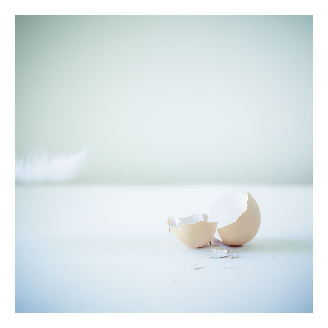 still life judgement